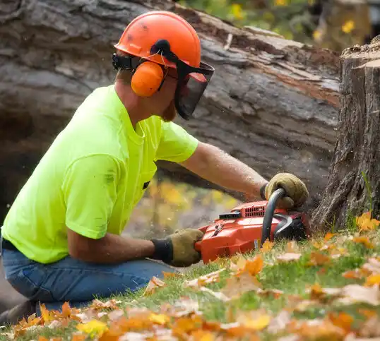 tree services Crofton